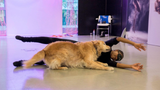 Illustration de l'article : Un chien-guide change la vie d’une artiste atteinte de cécité