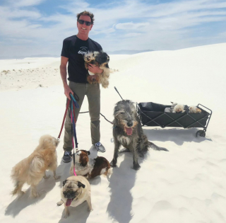 Illustration de l'article : Terrassé par le décès de son chien, cet homme consacre sa vie à aider les animaux les plus délaissés