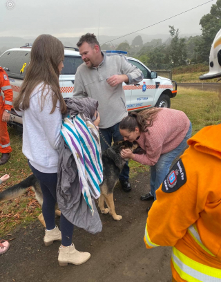 Illustration de l'article : Le courage d'une femme amputée pour sauver Bear, son Berger Allemand tombé dans un trou