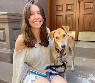 Illustration de l'article : Un chien perdu traverse New York pendant une semaine et s&egrave;me le trouble au milieu des voitures