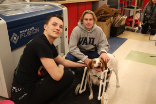 Illustration de l'article : Dans le cadre d&rsquo;un projet scolaire, des lyc&eacute;ens cr&eacute;ent des prototypes pour aider une chienne amput&eacute;e &agrave; se d&eacute;placer