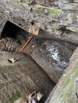 Illustration de l'article : Une femme découvre que ses deux chats sont piégés dans un égout et qu'elle ne peut pas les aider à sortir