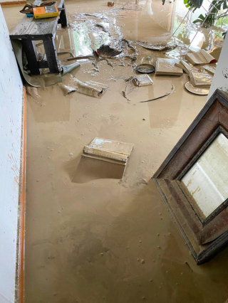 Illustration de l'article : Un chat héroïque prévient sa maîtresse qu’un cyclone arrive et lui sauve la vie