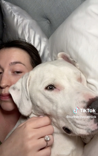 Illustration de l'article : Une chienne simule le sommeil pour pouvoir rester dans le lit de sa maman plutôt que d’être envoyée au panier (vidéo)