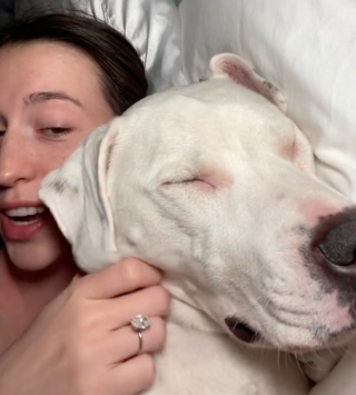 Illustration de l'article : Une chienne simule le sommeil pour pouvoir rester dans le lit de sa maman plutôt que d’être envoyée au panier (vidéo)
