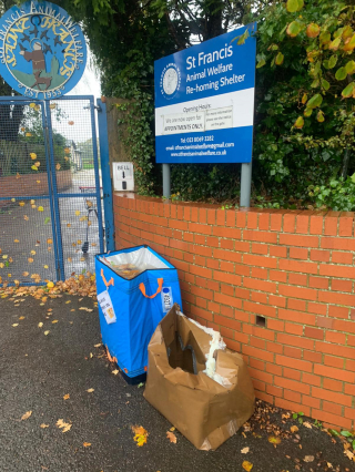 Illustration de l'article : Deux chats abandonnés dans un carton bravent le mauvais temps après avoir été délaissés devant un refuge