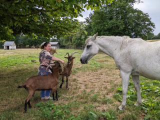 Illustration de l'article : Un refuge permet maintenant aux personnes âgées de vivre au milieu des animaux 