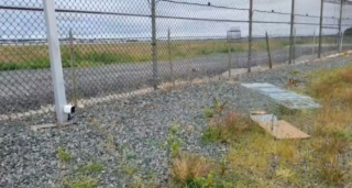 Illustration de l'article : Arrivé en Italie, un homme apprend que son chat est resté et perdu à l’aéroport de départ