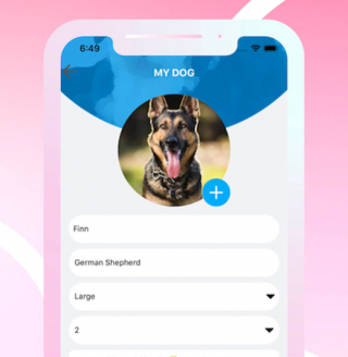 Illustration de l'article : Les chiens ont maintenant leur « Tinder » pour trouver leur âme sœur de promenade 
