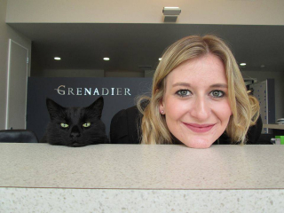 Illustration de l'article : Un chat de bureau tr&egrave;s appr&eacute;ci&eacute; des employ&eacute;s est d&eacute;pos&eacute; au refuge par une inconnue