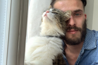 Illustration de l'article : Une chatte cleptomane compromet la r&eacute;putation de son ma&icirc;tre en volant les gants des voisins