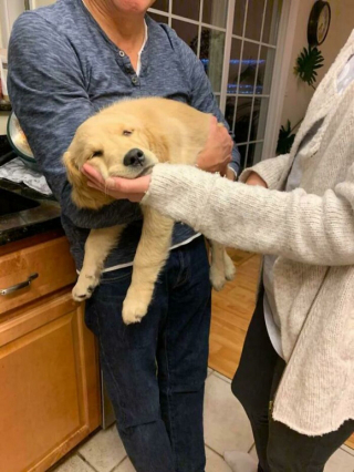 Illustration de l'article : 20 photos de chats et de chiens pris en flagrant délit