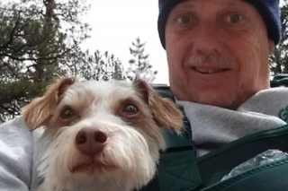Illustration de l'article : Survivant d'une tragédie en montagne, un chien rencontre une infirmière déterminée à lui offrir une nouvelle vie