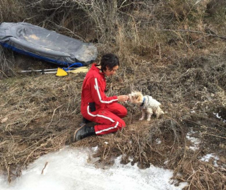 Illustration de l'article : Survivant d'une tragédie en montagne, un chien rencontre une infirmière déterminée à lui offrir une nouvelle vie