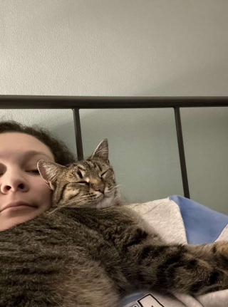 Illustration de l'article : Avec de la patience, la nouvelle maîtresse de cette chatte errante parvient à lui redonner confiance