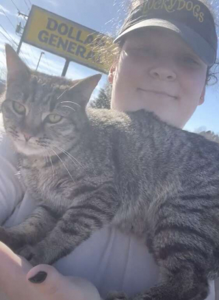 Illustration de l'article : Avec de la patience, la nouvelle maîtresse de cette chatte errante parvient à lui redonner confiance