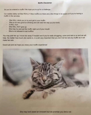 Illustration de l'article : Une chatte obsédée par les muffins doit quitter le café l’ayant rendue célèbre, mais pour une bonne raison