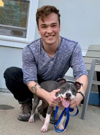 Illustration de l'article : Une jeune chienne souffrant de la gale et de la faim se remet à espérer grâce à des âmes charitables