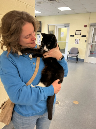 Illustration de l'article : Ils déclarent leur chat mort, jusqu’à ce qu’ils reçoivent un appel 9 ans après sa disparition 