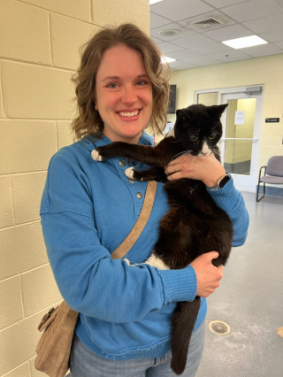 Illustration de l'article : Ils déclarent leur chat mort, jusqu’à ce qu’ils reçoivent un appel 9 ans après sa disparition 