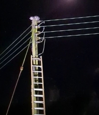 Illustration de l'article : Une centaine de foyers privés d’électricité à cause d’un chat un peu trop aventureux