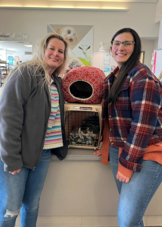 Illustration de l'article : En visitant un refuge, un couple est persuadé de reconnaître le chat qu’il avait perdu 2 ans plus tôt