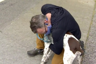 Illustration de l'article : Un voleur de chien, pris sur le fait par des journalistes, prétend qu’il s’agit seulement d’une erreur