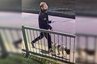 Illustration de l'article : Un voleur de chien, pris sur le fait par des journalistes, prétend qu’il s’agit seulement d’une erreur