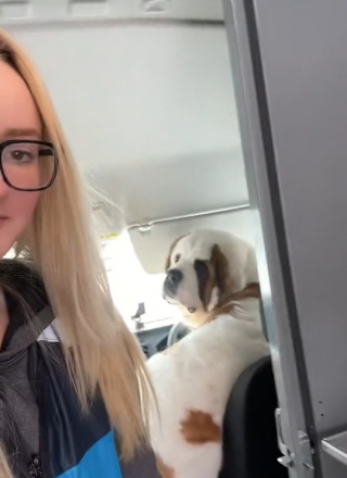 Illustration de l'article : Une livreuse retourne à son camion et découvre qu’il a un nouveau conducteur (vidéo)