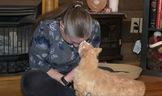 Illustration de l'article : Un nouveau d&eacute;part pour Warden, le chat aux multiples cicatrices adopt&eacute; par une femme au grand c&oelig;ur