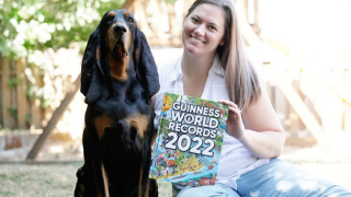 Illustration de l'article : Cette chienne a des oreilles si grandes qu’elle est entrée au Livre Guinness des records ! (vidéo)