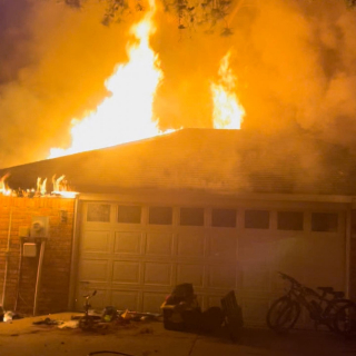 Illustration de l'article : Effrayée par l’alarme incendie, une chatte se cache et se retrouve prise au piège des flammes qui brûlent sa maison