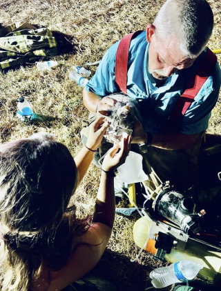 Illustration de l'article : Effrayée par l’alarme incendie, une chatte se cache et se retrouve prise au piège des flammes qui brûlent sa maison