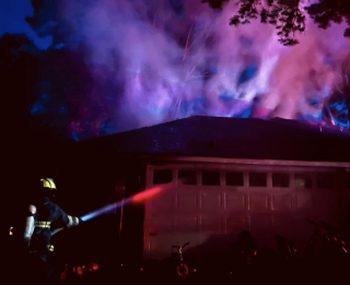 Illustration de l'article : Effrayée par l’alarme incendie, une chatte se cache et se retrouve prise au piège des flammes qui brûlent sa maison