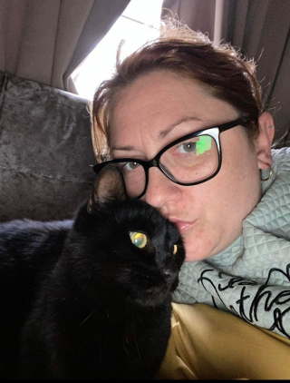 Illustration de l'article : Un chat se retrouve dans un refuge et les bénévoles découvrent que ses propriétaires le cherchaient depuis 6 ans