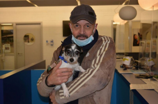 Illustration de l'article : Plus d’un an après avoir été kidnappée, cette chienne réapparait miraculeusement dans la rue