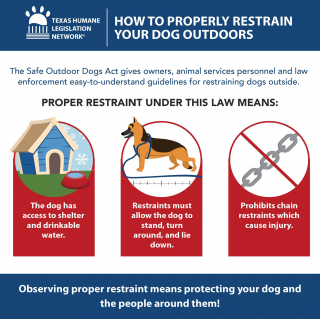 Illustration de l'article : Au Texas, pour enchaîner un chien à l’extérieur, il faut respecter des conditions très strictes