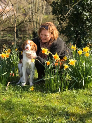 Illustration de l'article : L'appel touchant de Pepo, un chien au physique atypique cherchant désespérément une maison