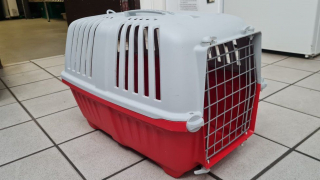 Illustration de l'article : Enfermée dans une caisse de transport pour chats, une chienne a été abandonnée dans un parc (vidéo)