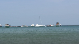 Illustration de l'article : Des bienfaiteurs tentent de secourir un chien en train de se noyer au milieu d’un lac