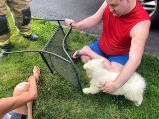 Illustration de l'article : Le jeu vire à l'incident pour ce chiot Samoyède, pris au piège d'une chaise en acier (vidéo)