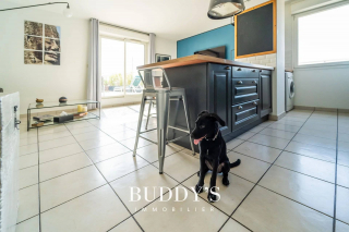 Illustration de l'article : À Bézier, un agent immobilier réserve 7 % de son chiffre d’affaires à la cause animale