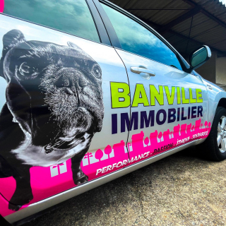 Illustration de l'article : À Bézier, un agent immobilier réserve 7 % de son chiffre d’affaires à la cause animale