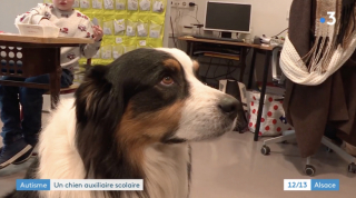 Illustration de l'article : Dans une école française, des enfants atteints d’autisme se sont ouverts aux autres grâce à Pirate, chien d’assistance