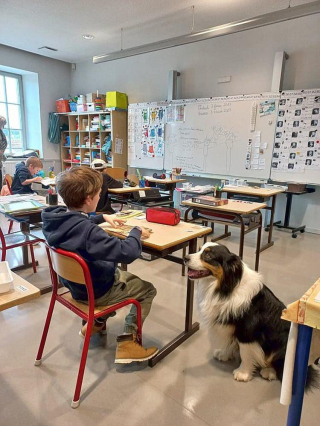 Illustration de l'article : Dans une école française, des enfants atteints d’autisme se sont ouverts aux autres grâce à Pirate, chien d’assistance