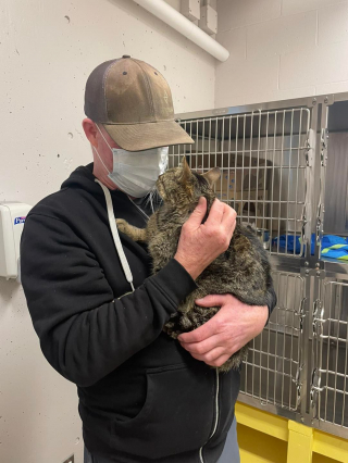 Illustration de l'article : Effrayé par un chien, un chat s’enfuit alors qu’il est en voyage avec son propriétaire, loin de chez lui