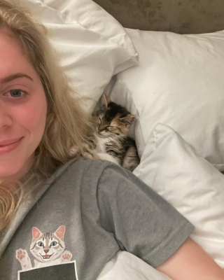 Illustration de l'article : Quand ce chaton sauvage a été emmailloté dans une serviette, il a compris qu’il pouvait faire confiance aux humains