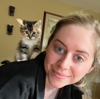 Illustration de l'article : Quand ce chaton sauvage a été emmailloté dans une serviette, il a compris qu’il pouvait faire confiance aux humains