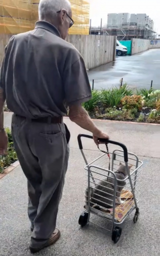 Illustration de l'article : Un chat sénior et ses maîtres nonagénaires partagent un moment unique chaque matin (vidéo)