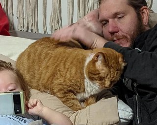 Illustration de l'article : Un chat errant blessé et méfiant apprend progressivement à apprécier la chaleur humaine